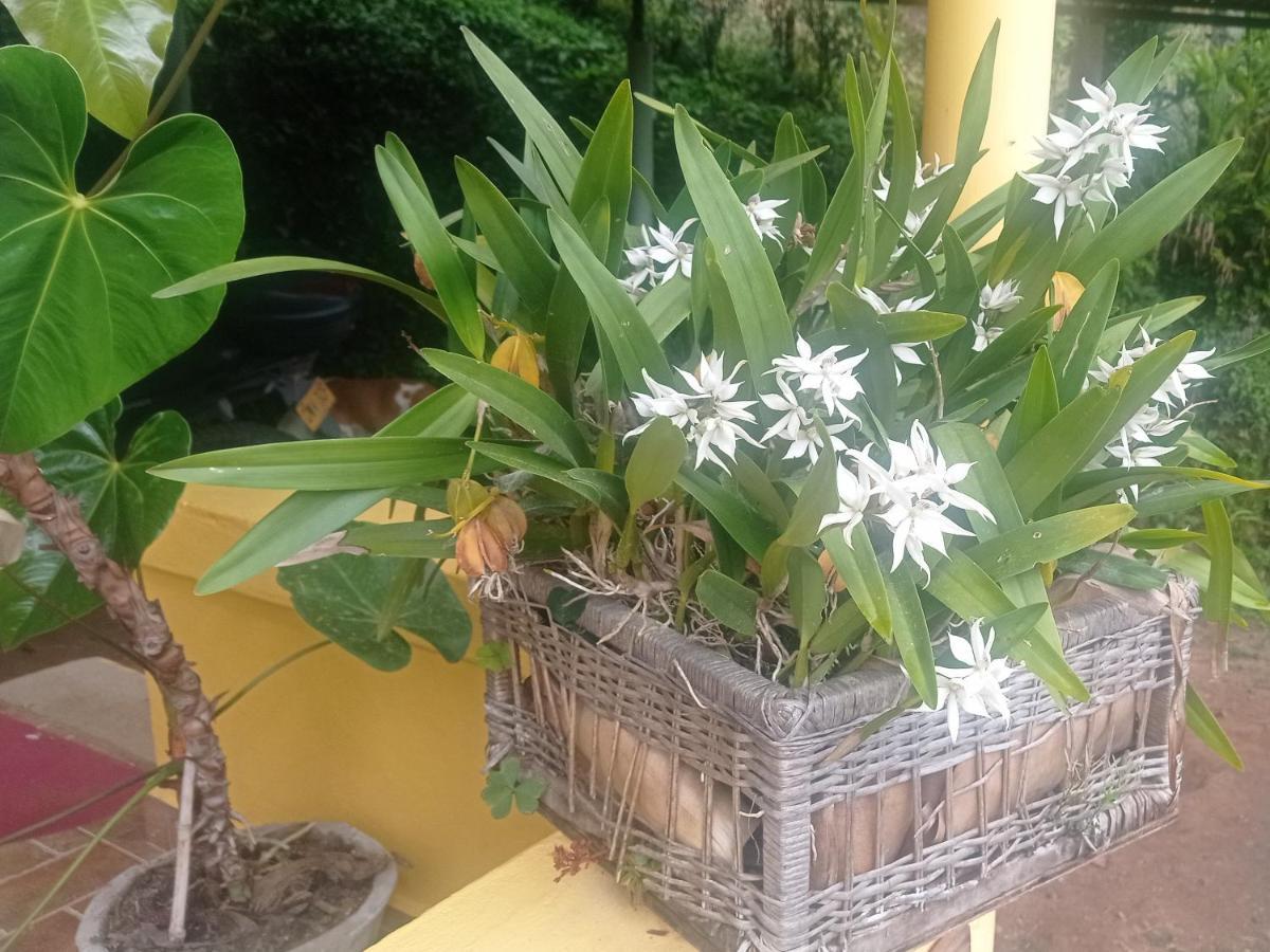 Alojamiento Rural Jardin Consentido Εξωτερικό φωτογραφία