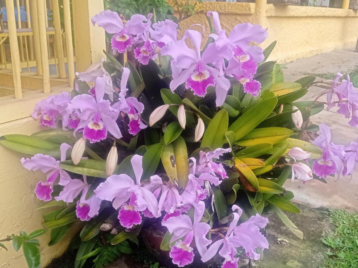 Alojamiento Rural Jardin Consentido Εξωτερικό φωτογραφία