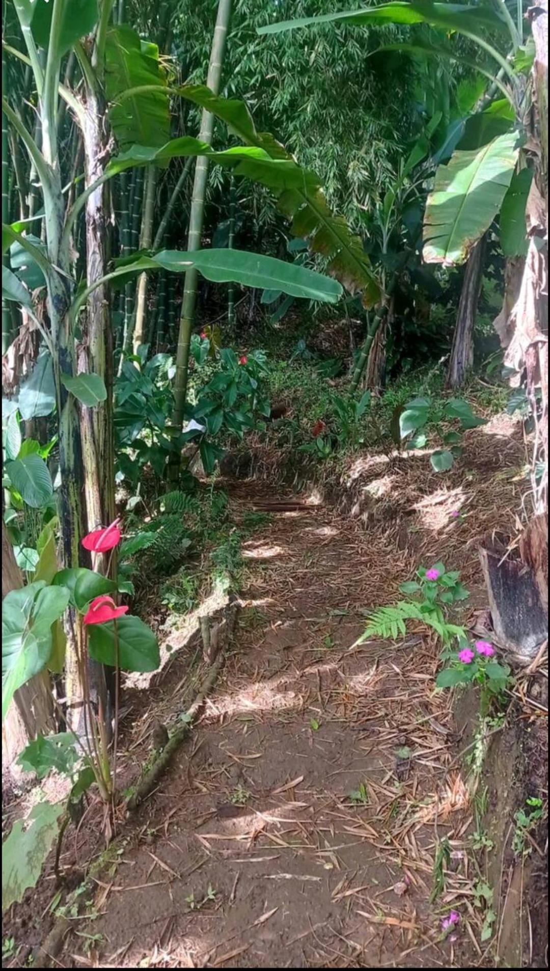 Alojamiento Rural Jardin Consentido Εξωτερικό φωτογραφία