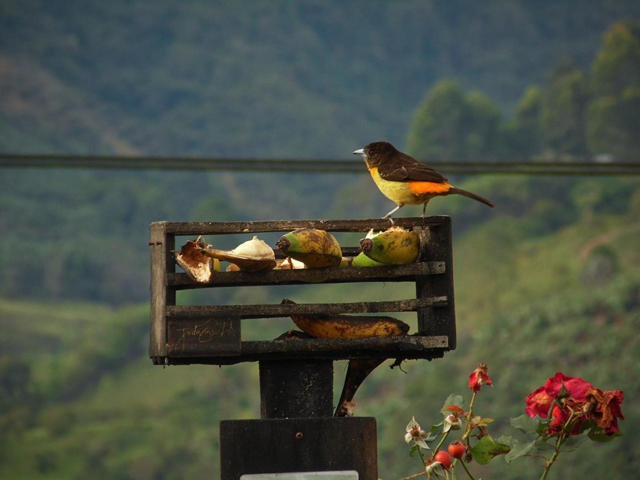 Alojamiento Rural Jardin Consentido Εξωτερικό φωτογραφία