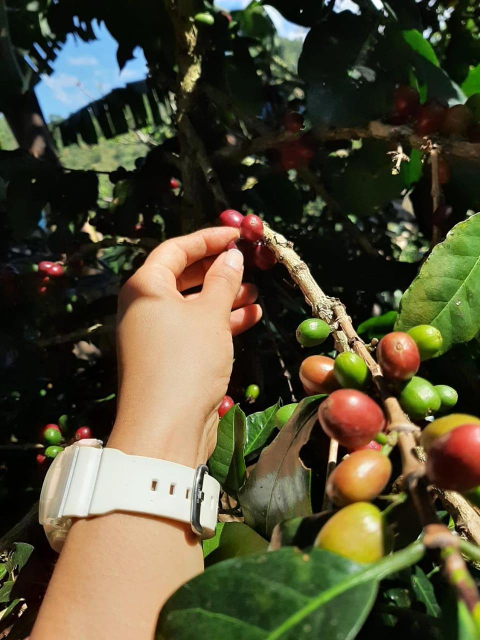 Alojamiento Rural Jardin Consentido Εξωτερικό φωτογραφία