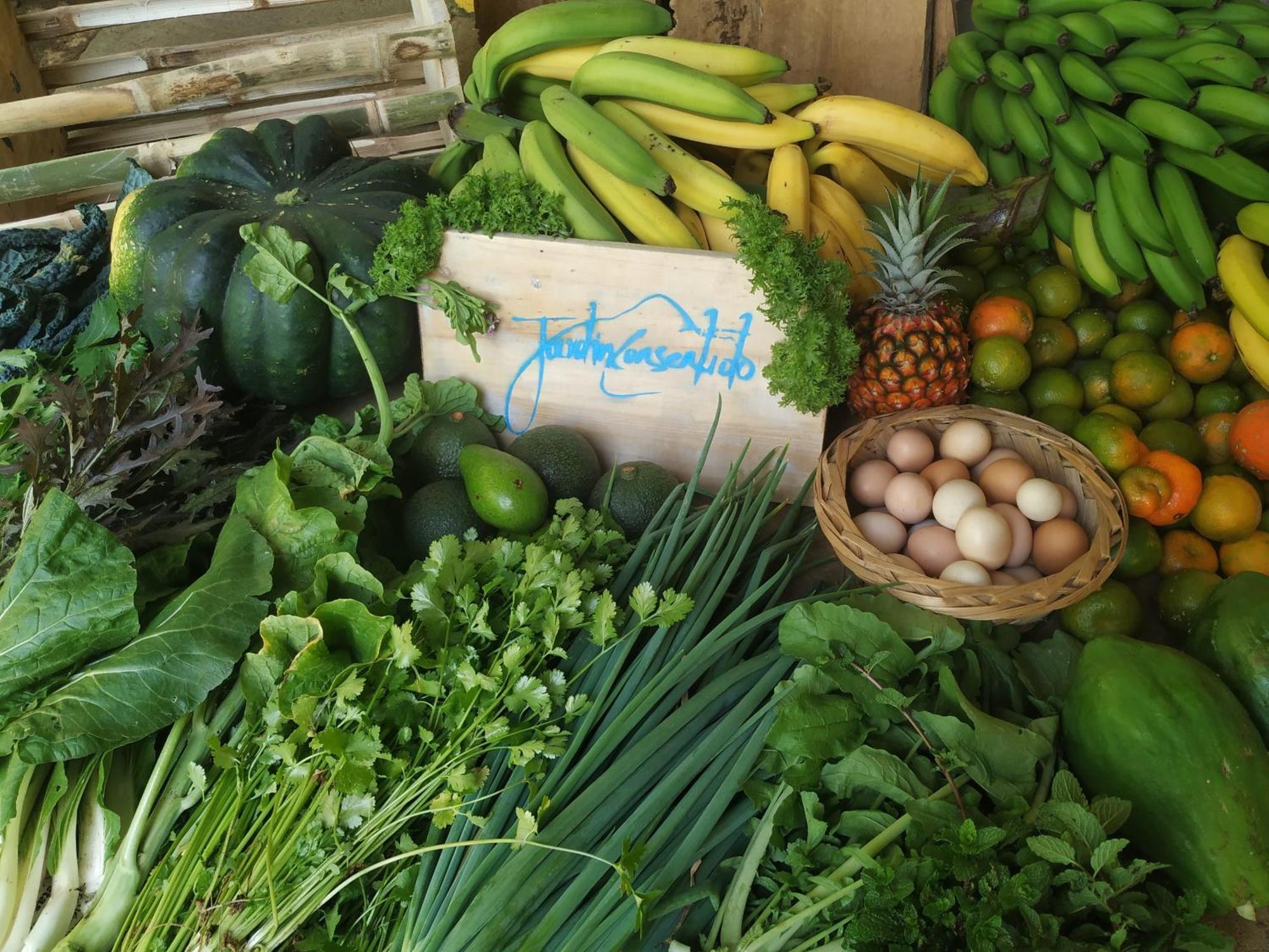 Alojamiento Rural Jardin Consentido Εξωτερικό φωτογραφία