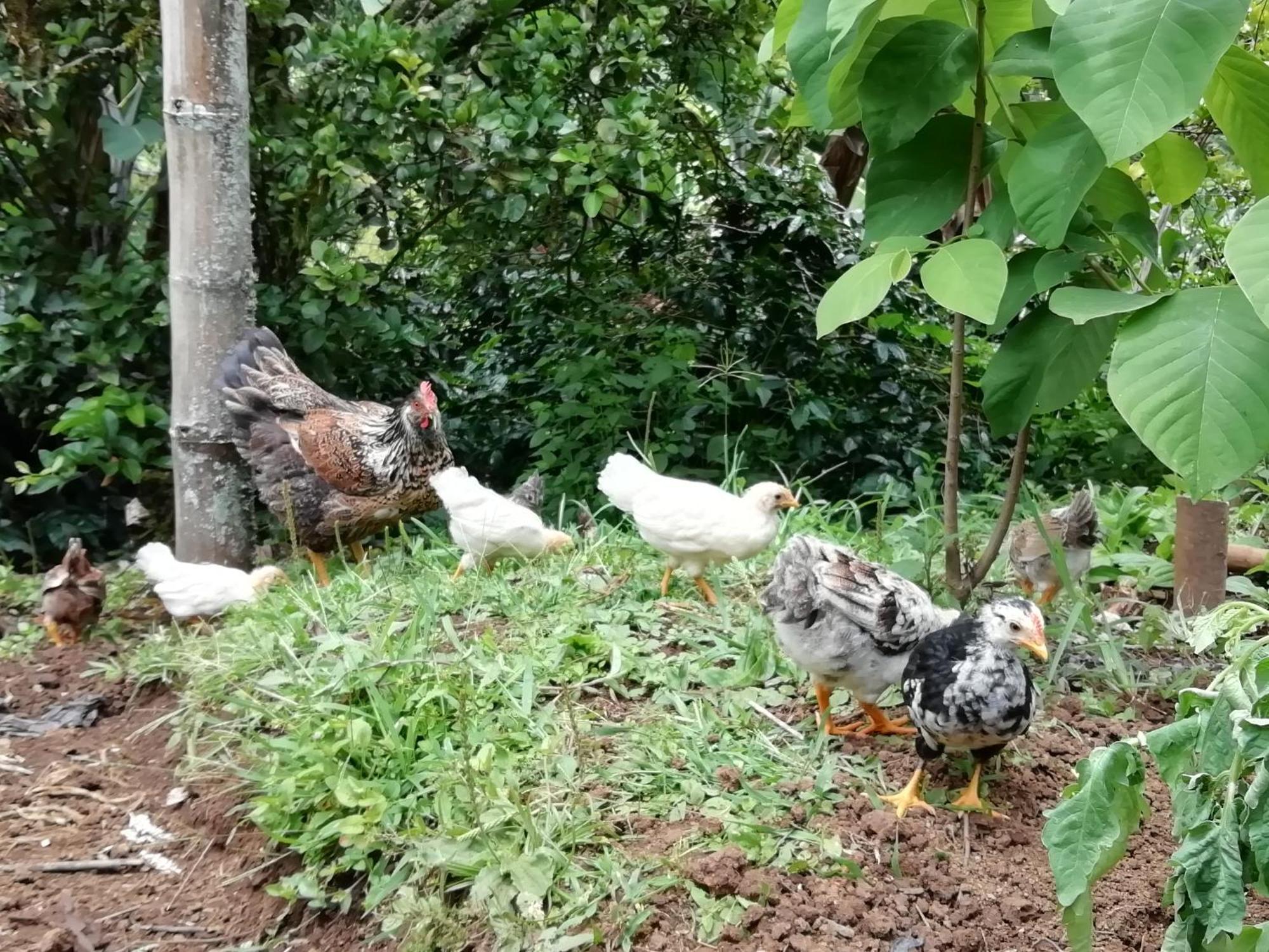 Alojamiento Rural Jardin Consentido Εξωτερικό φωτογραφία