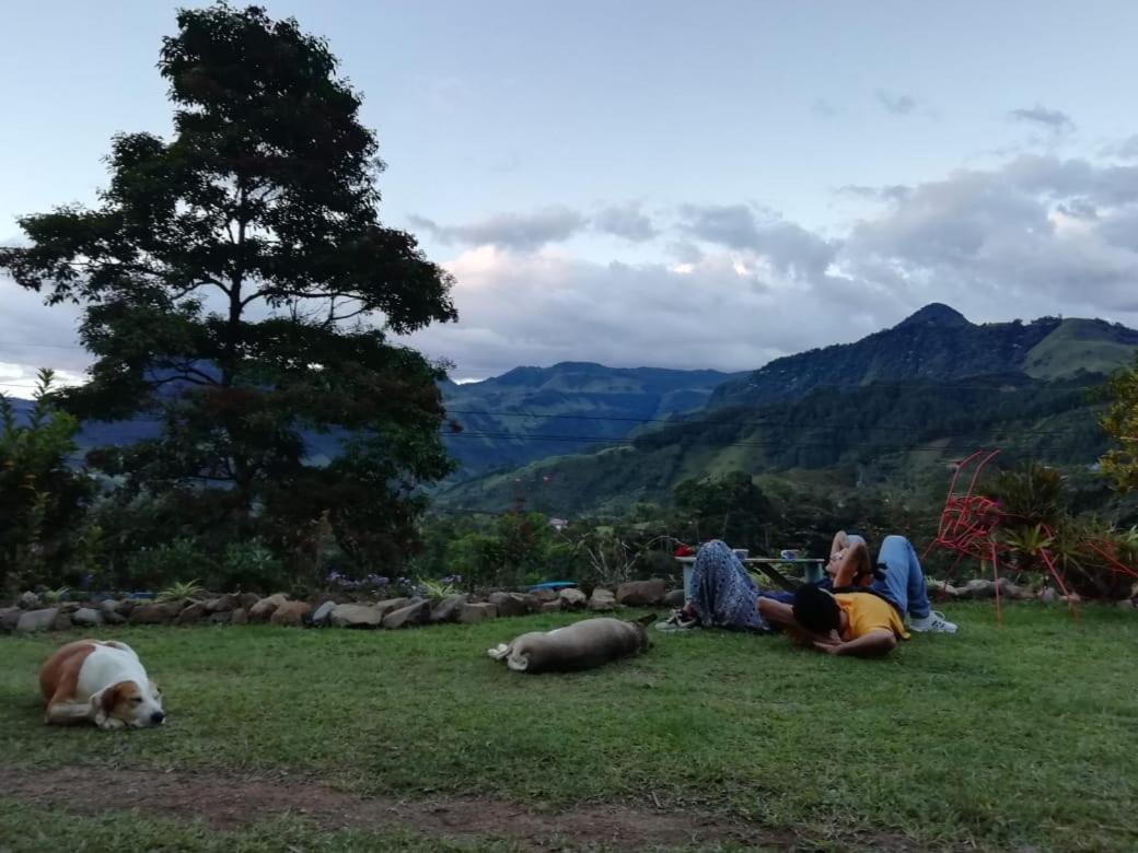 Alojamiento Rural Jardin Consentido Εξωτερικό φωτογραφία