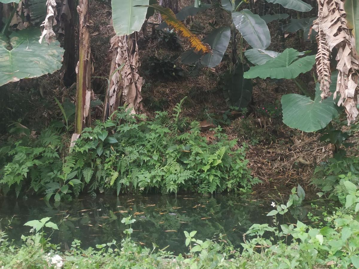 Alojamiento Rural Jardin Consentido Εξωτερικό φωτογραφία